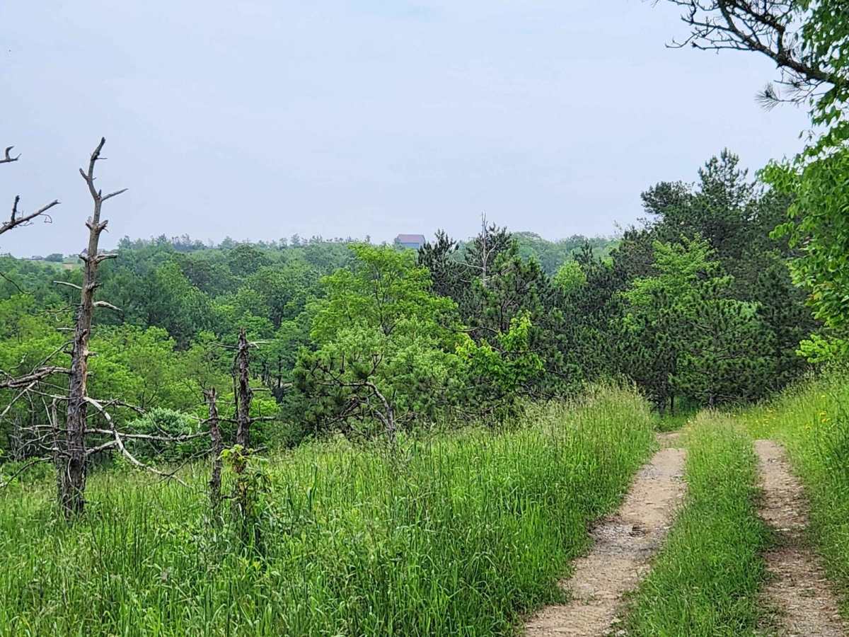 Trail 4J - Rock Run Recreation Area photo 4