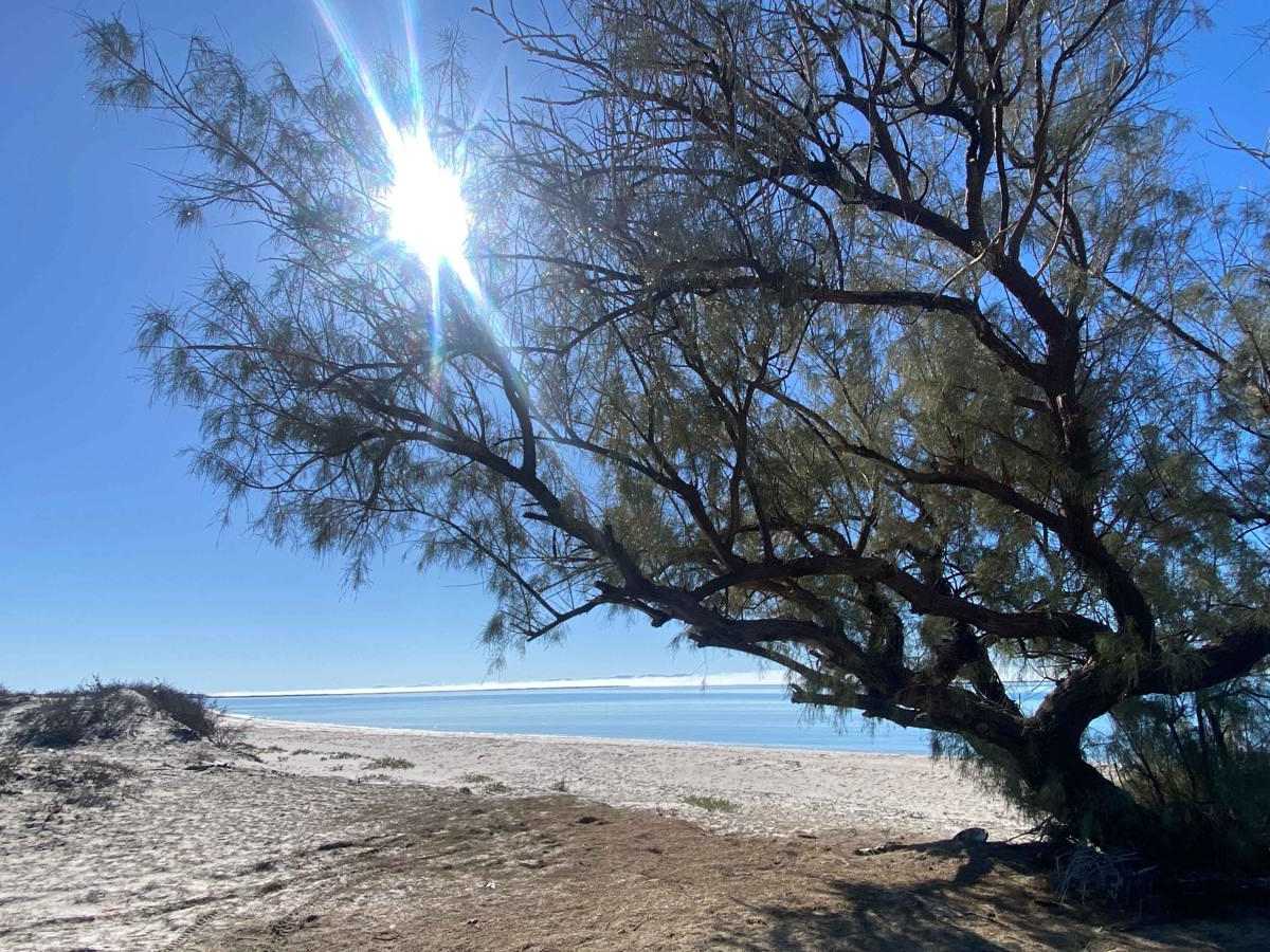 Mag Bay Loop trail photo