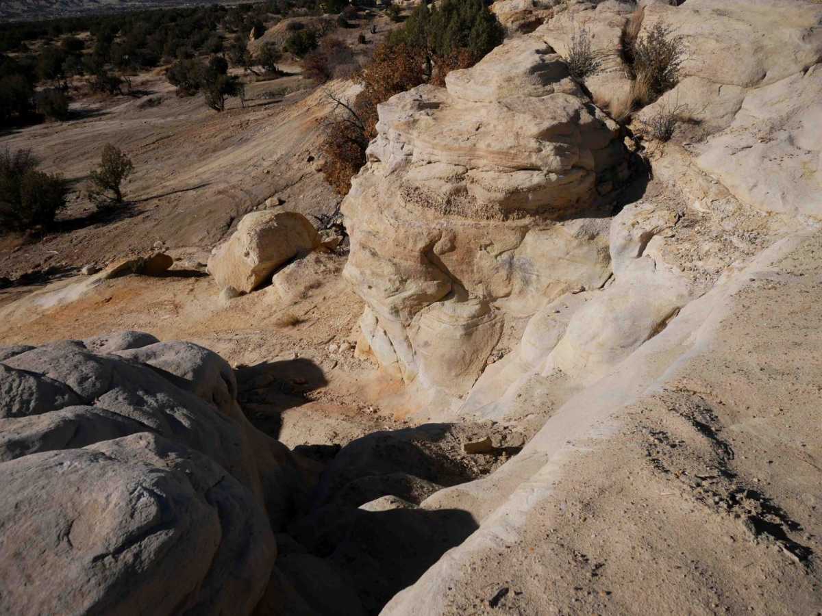 Reptile trail photo