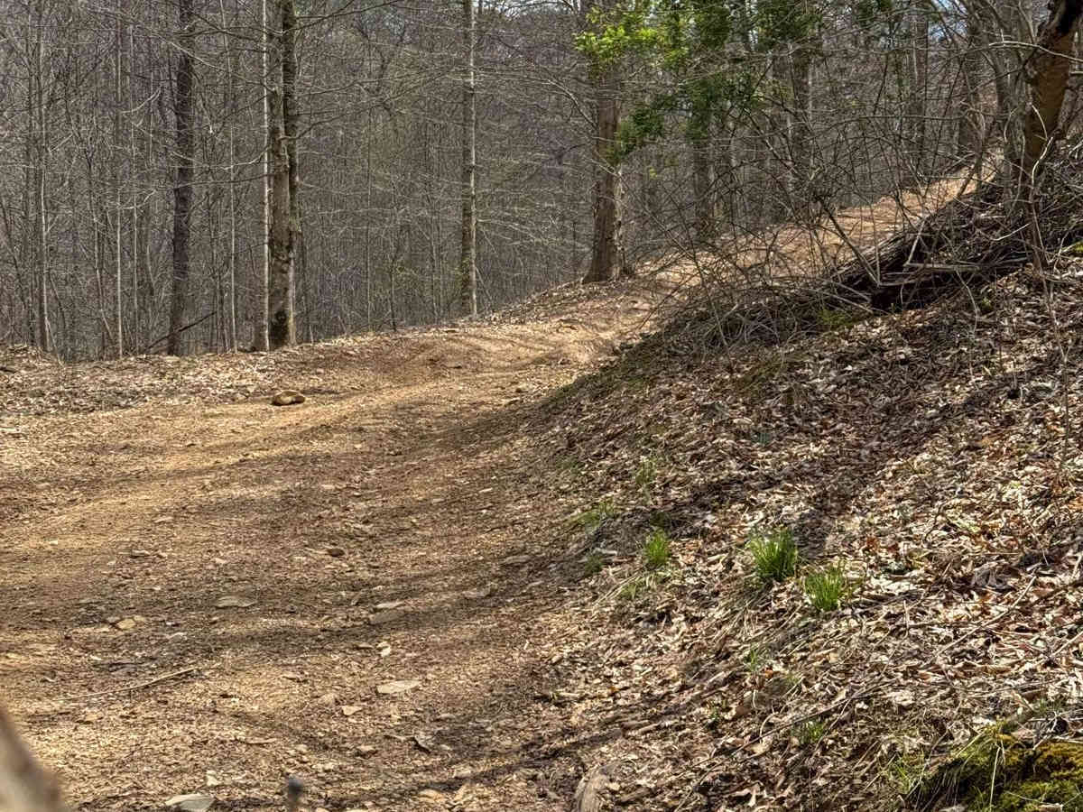 Trail 6 photo 4