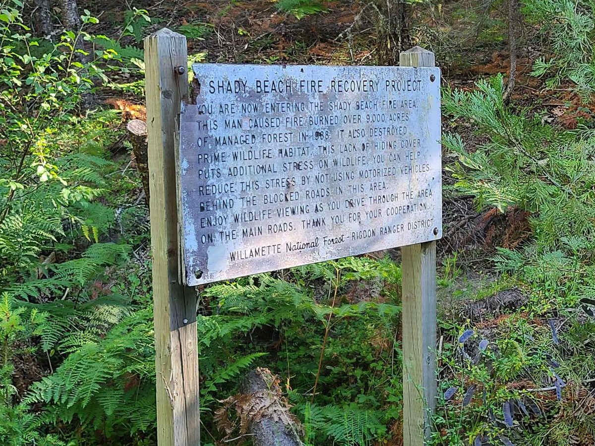 Shady Gap #5875 photo 3