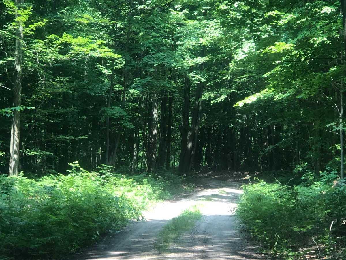 Wallin Road Part 4 photo 4