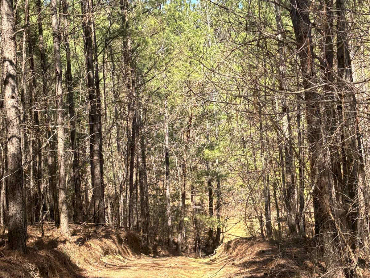 Turkey Hill photo 4