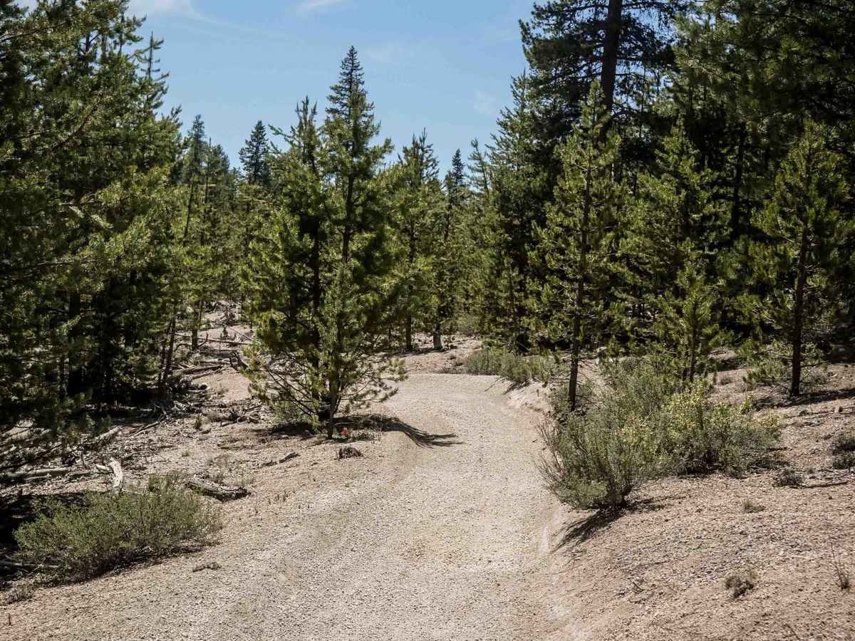 50 (South) trail photo