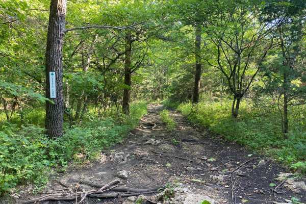 Coyote Camp