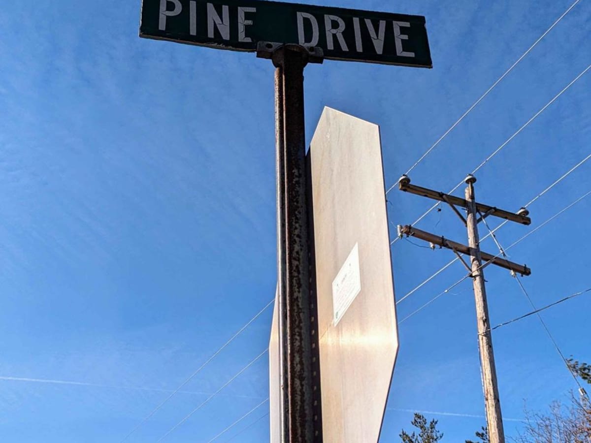 Pine Drive photo 3