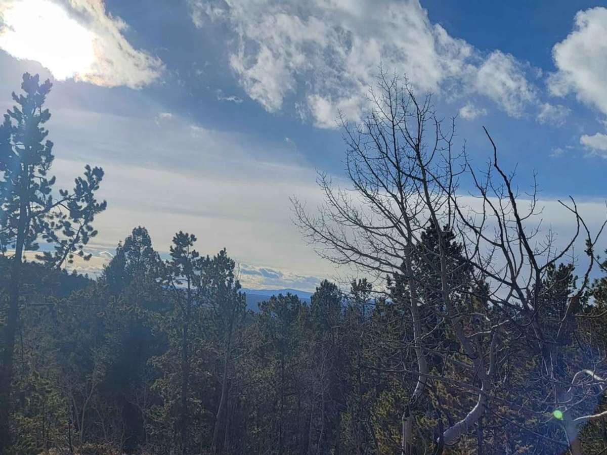 Rampart Range - FR 300 photo 3