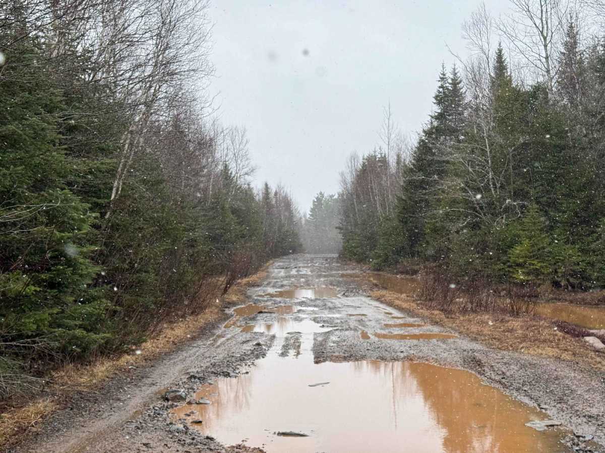 Scott Paper Road photo 4
