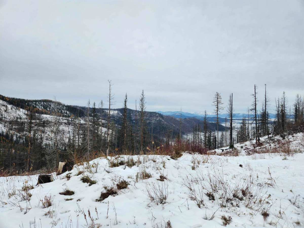 Montgomery-Moon Ridge photo 5