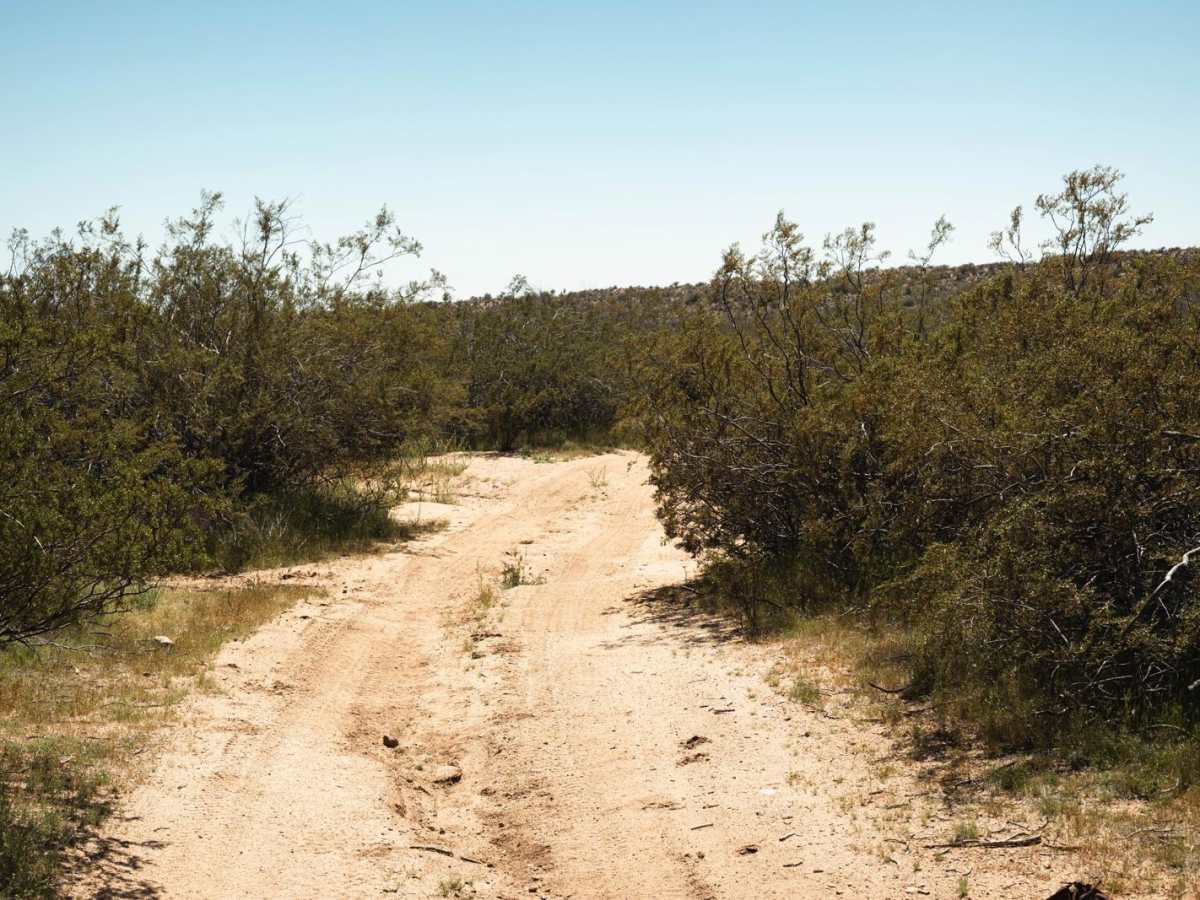 Cinch's Cutoff trail photo
