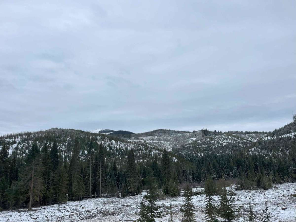 Trail 4712 photo 3