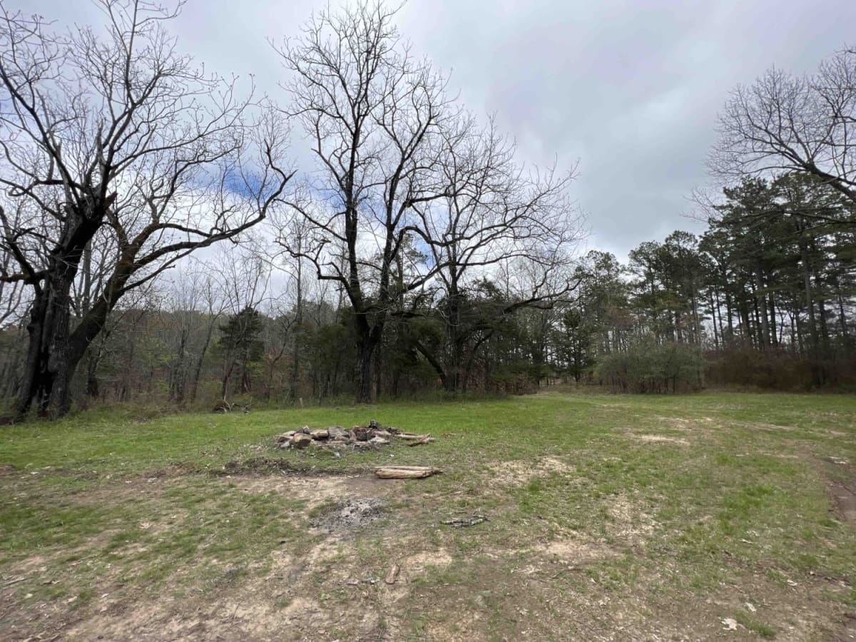 Road 58/FSR 1004 photo 4