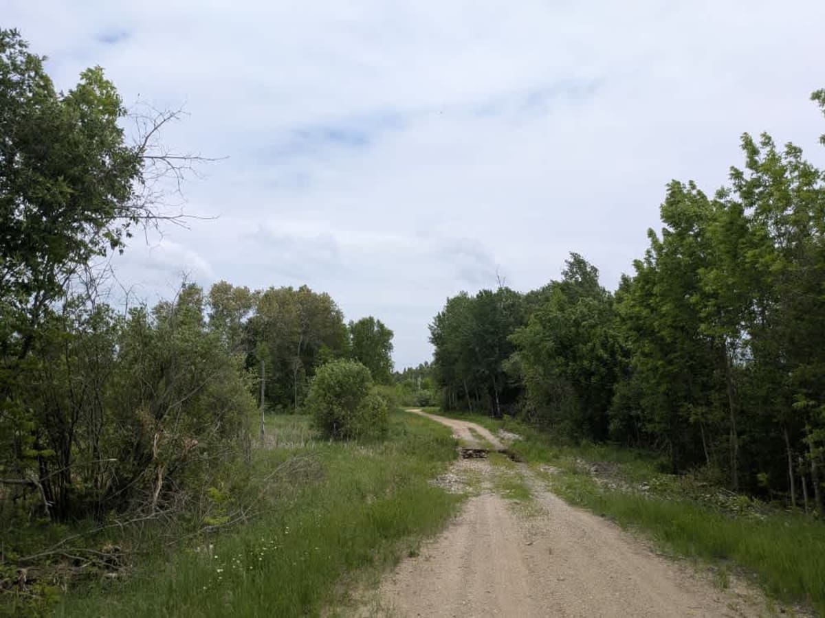2415 photo 6