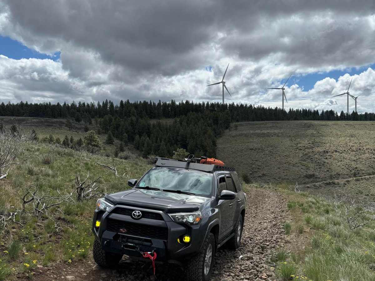 Little Brushy Road via Quilomene Ridge Road photo 6