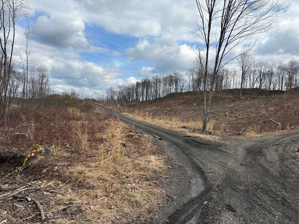 Ashland 62 trail photo