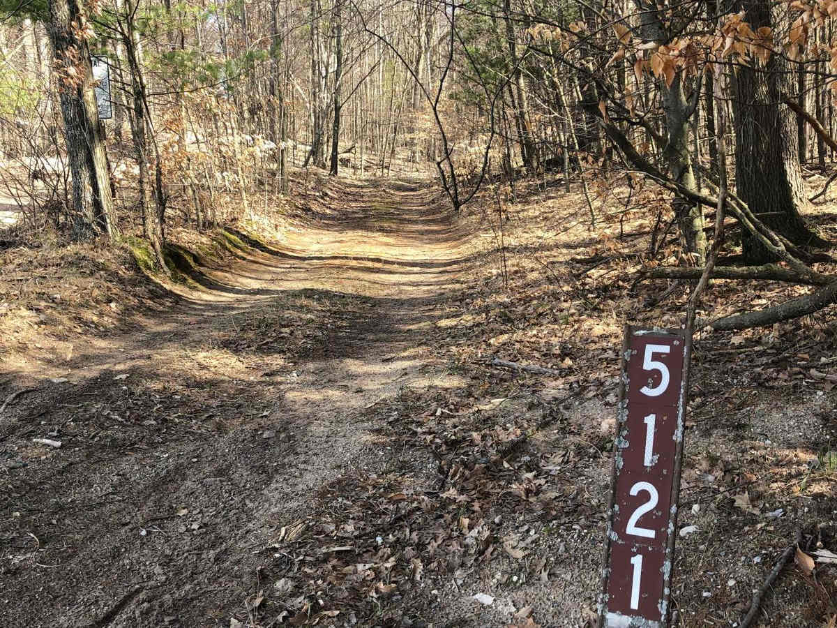NFS Road 5121-6660 trail photo