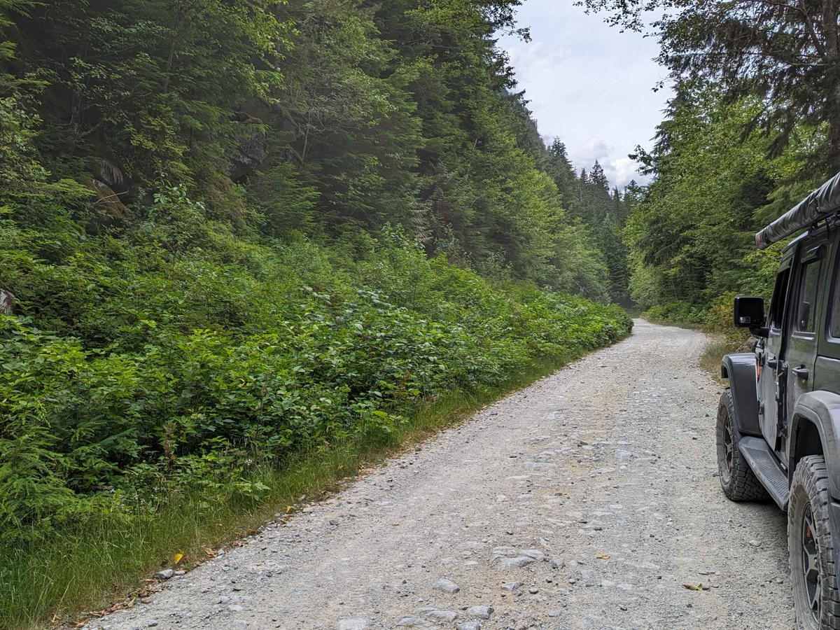Squamish Indian Arm FSR photo 5