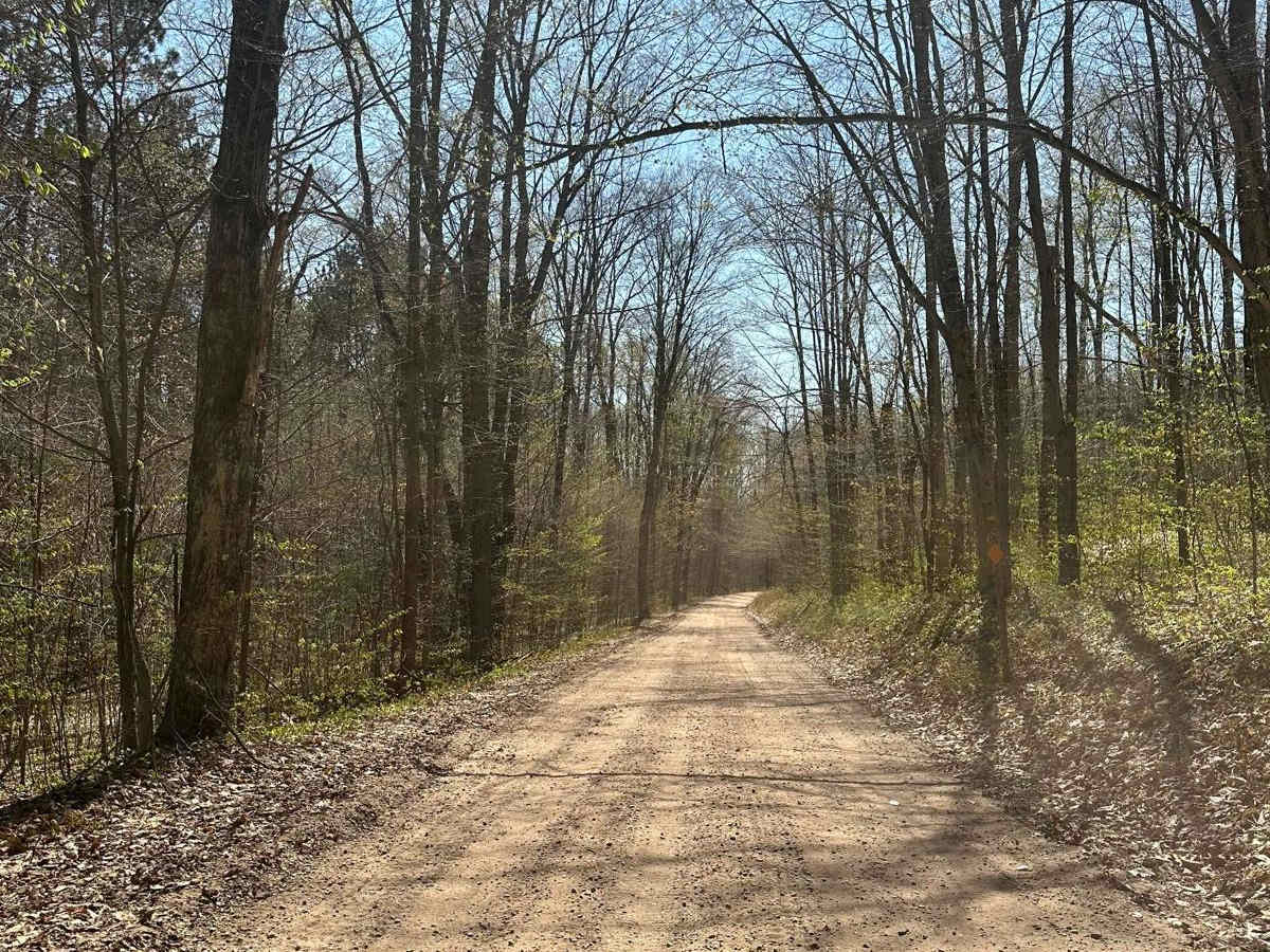 Cadillac Area ORV/OHV Scenic Ride - Part 14 photo 3