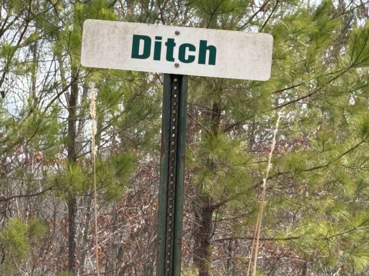 #73a Lower Ditch trail photo