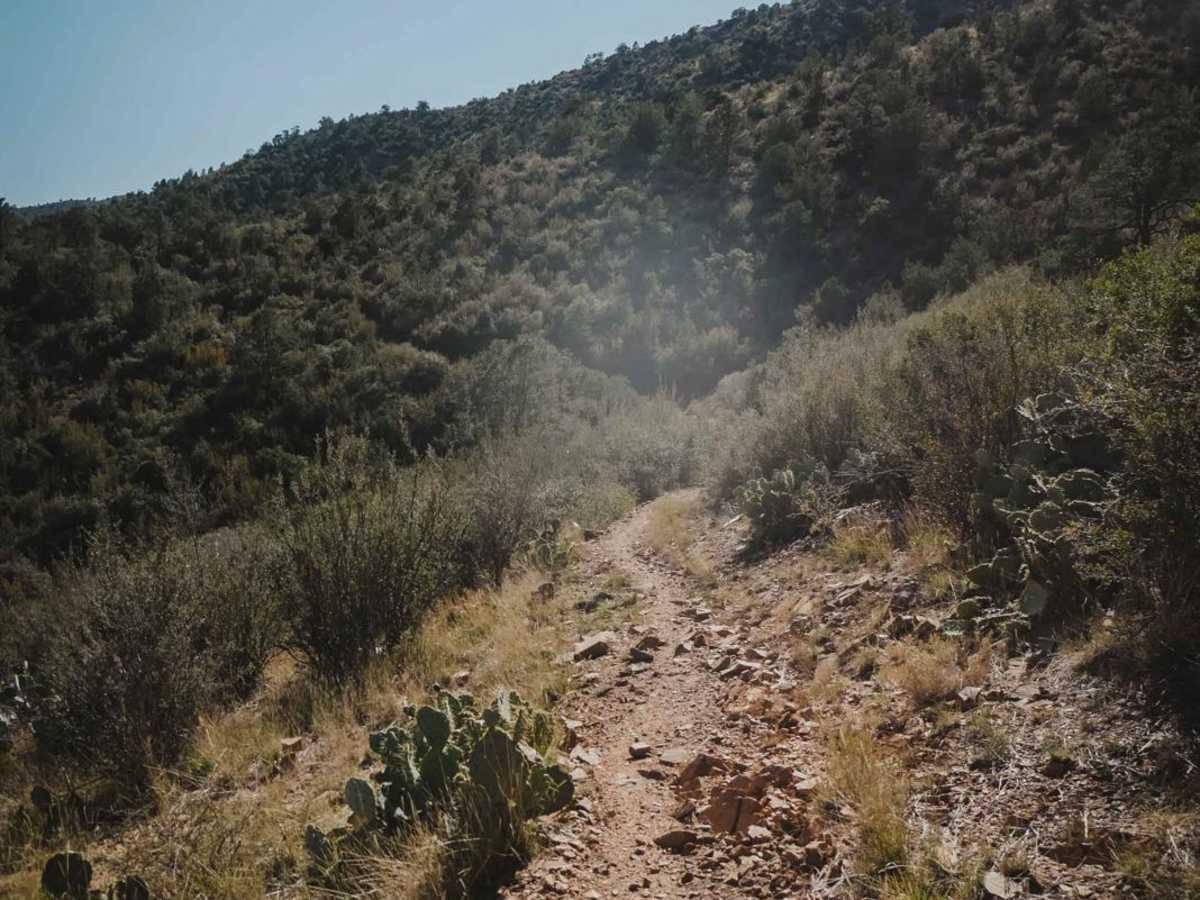 Charcoal Gulch photo 4