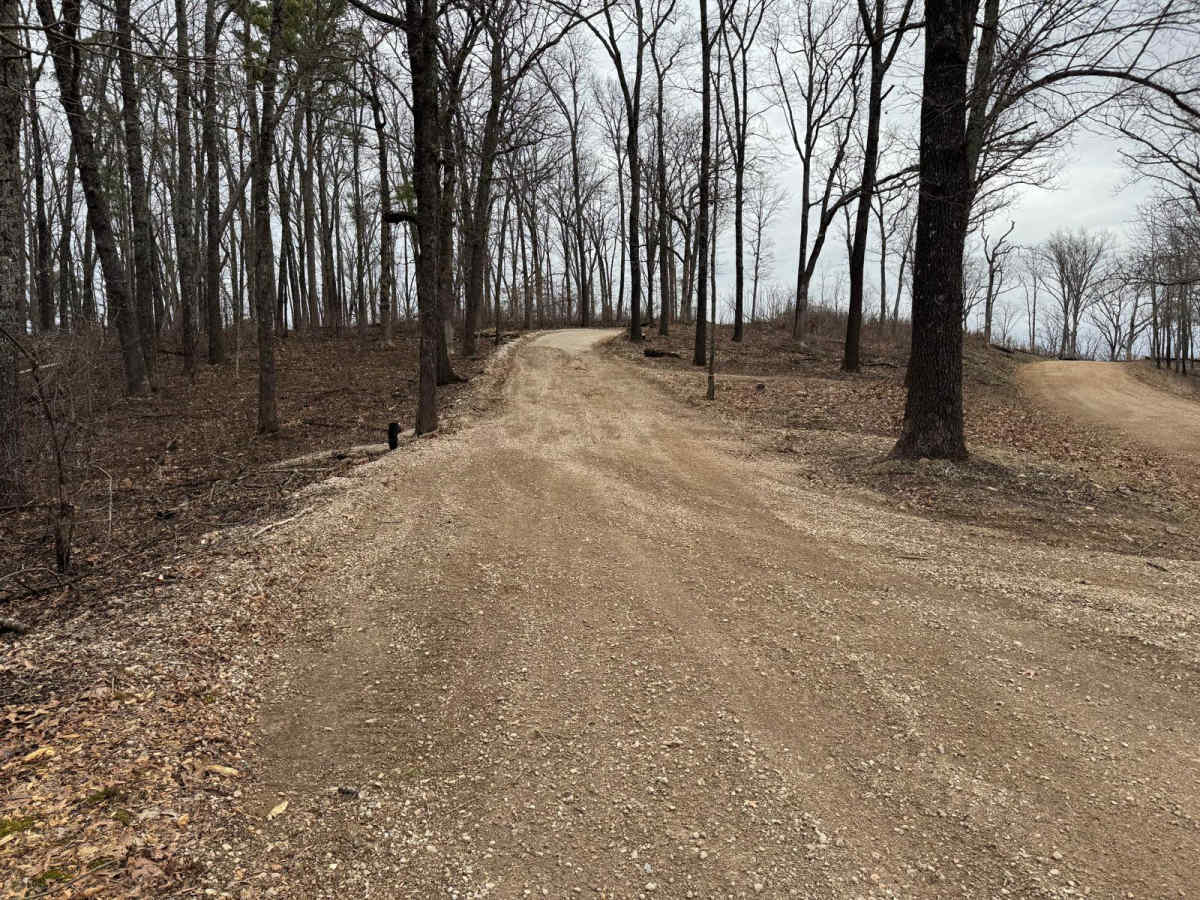 Wildcat Road trail photo