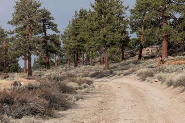 Sheep Camp Road - FS4S03