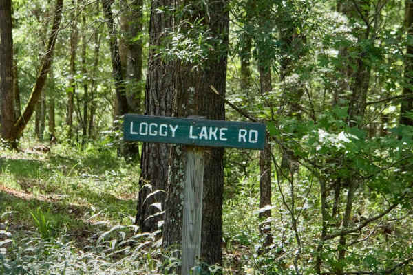 Loggy Lake Road