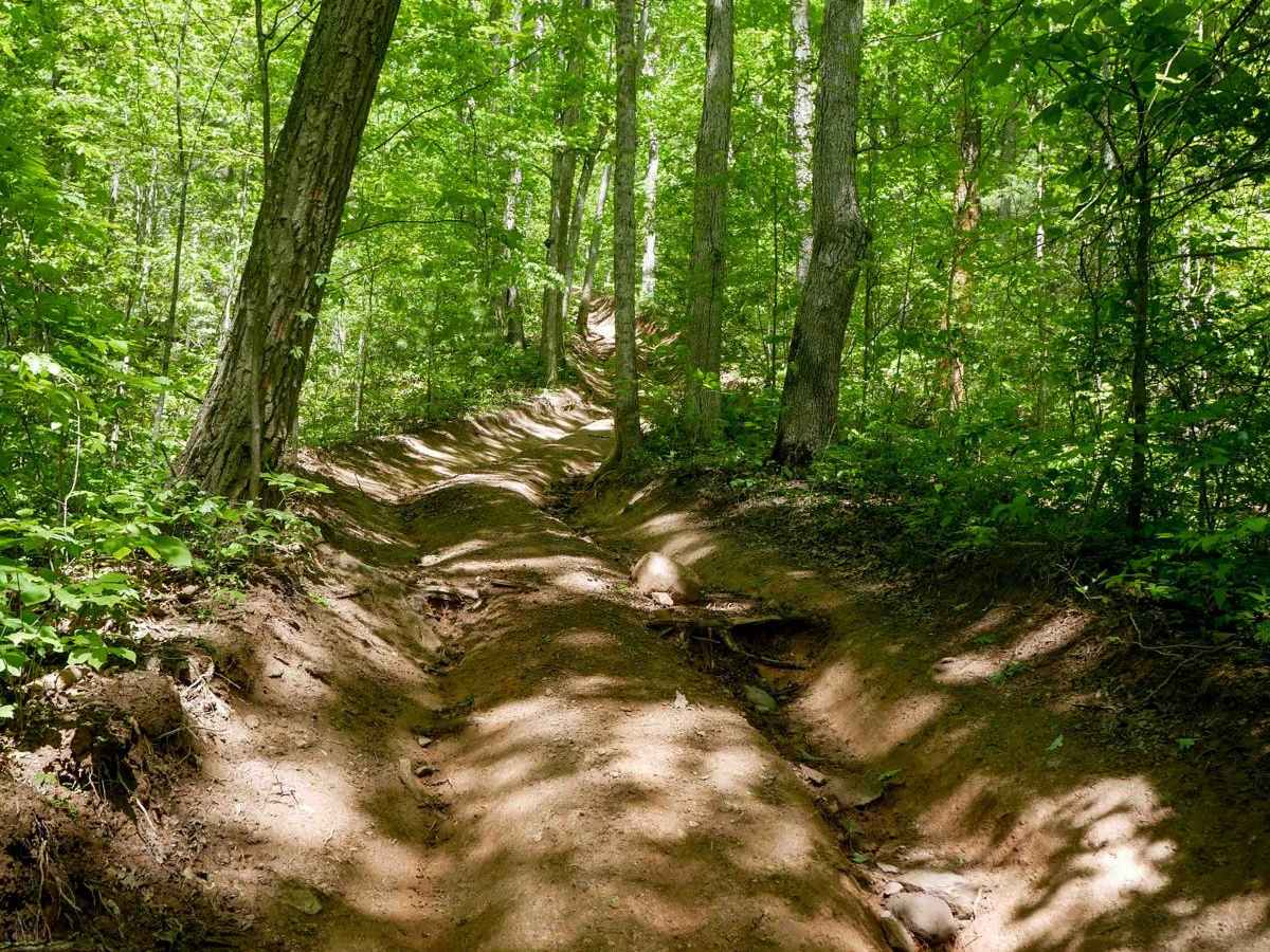 Trail 27 photo 3