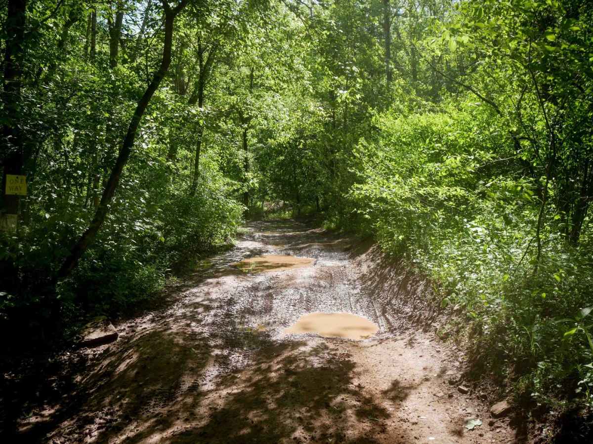 Trail 23 Sawmill Run photo 6