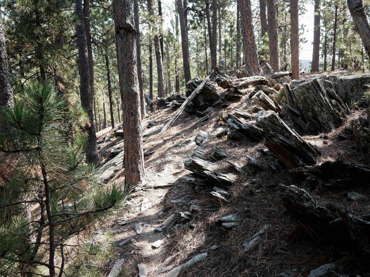 Bogus 6305 trail photo