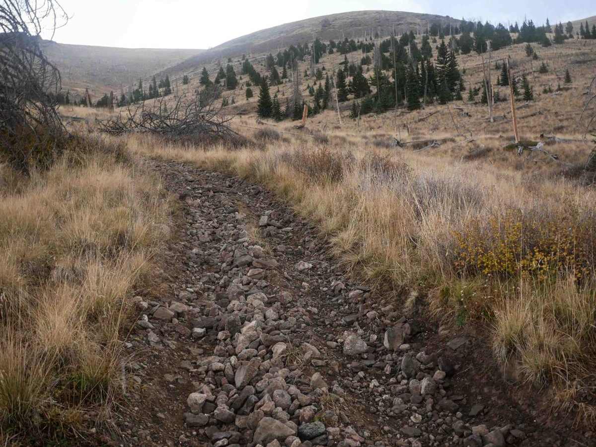 La Garita Creek ATV trail photo