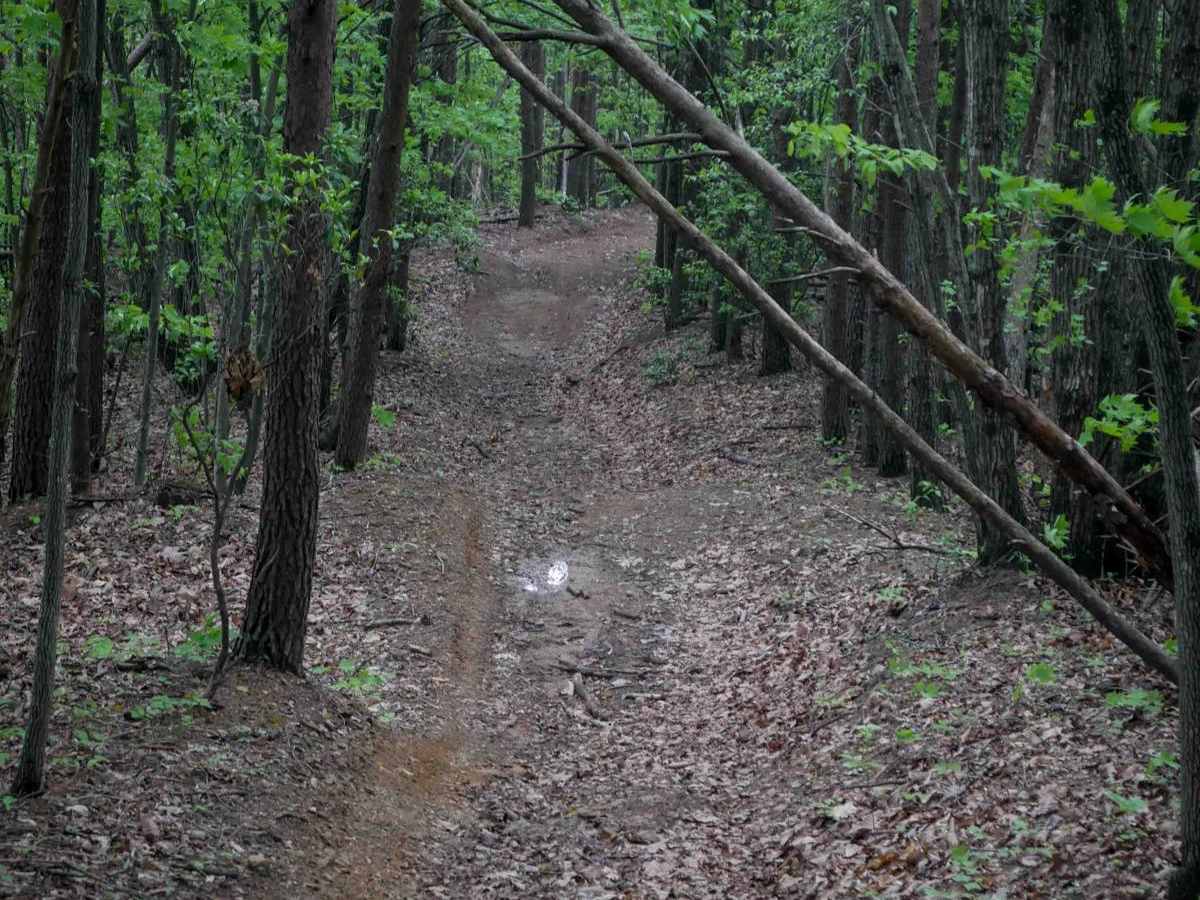 Shortcut photo 2