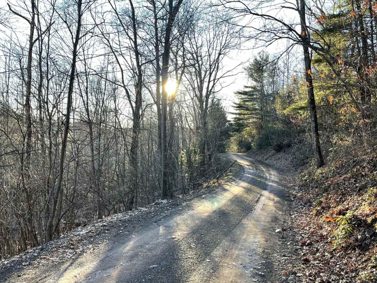 Knob Ridge Road photo 3