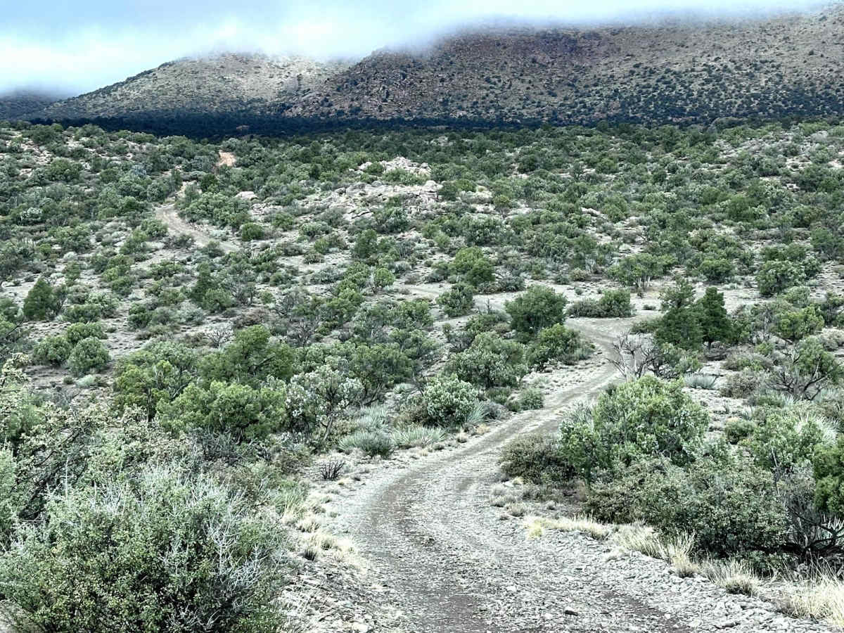 Music Mountains Trail photo 6