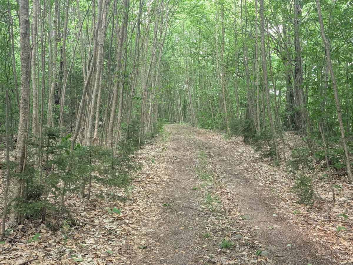 Sellecks Road Loop photo 4
