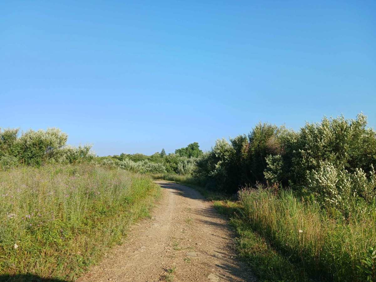 Trail 12B - Rock Run Recreation Area photo 2