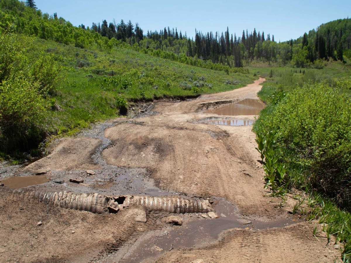 Farmington Flats photo 6