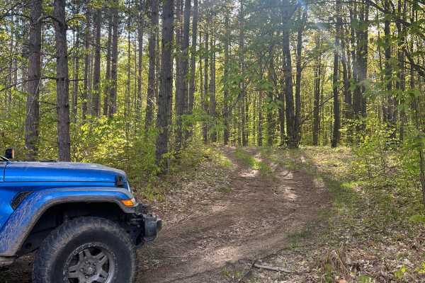 Pine Row Connector Trail