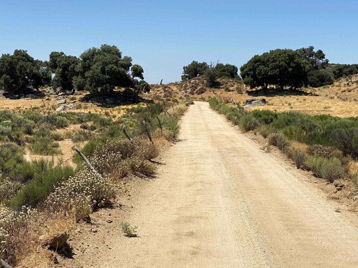 Old El Compadre Loop photo 4