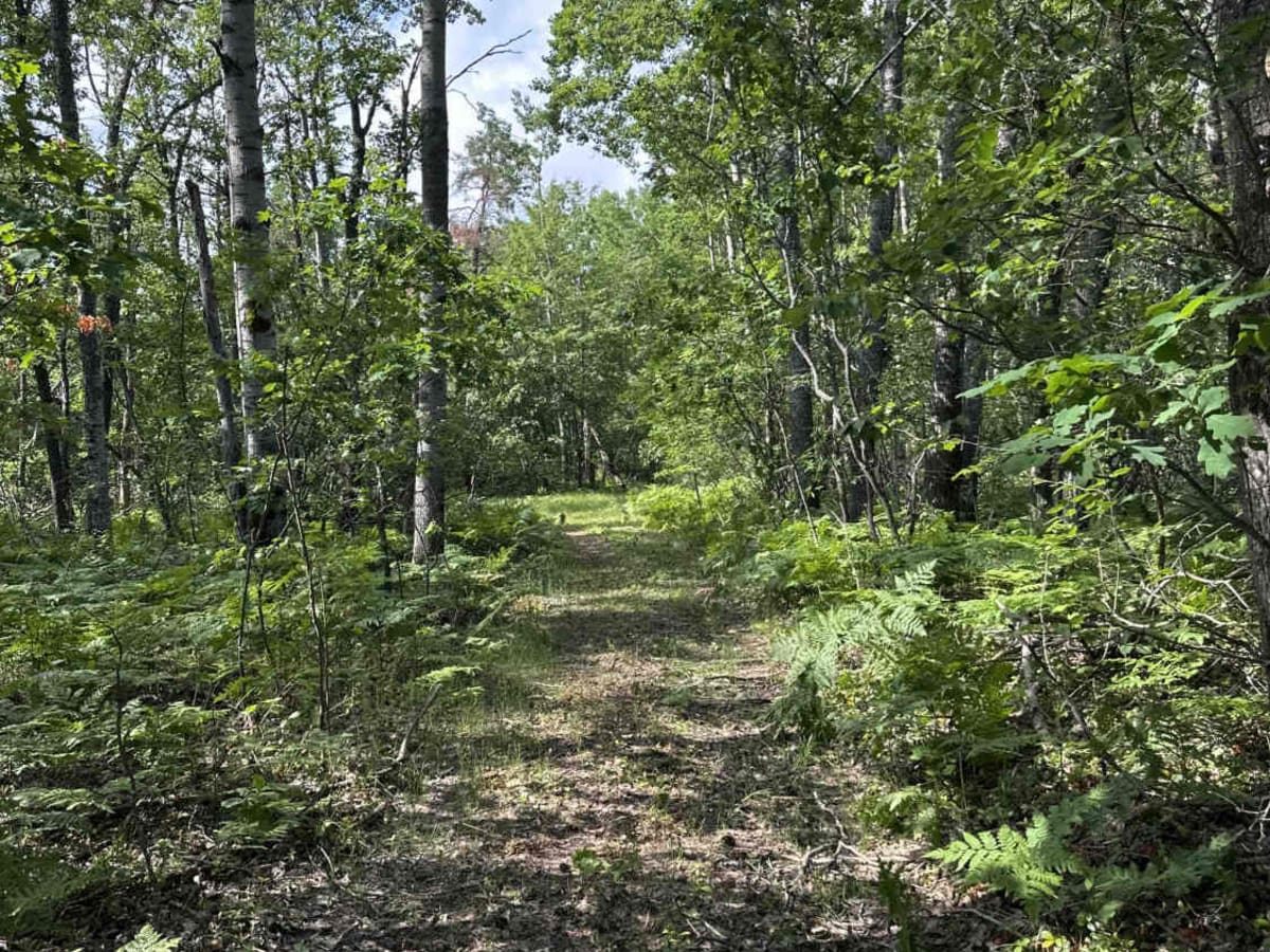Spring Lake Spur photo 4