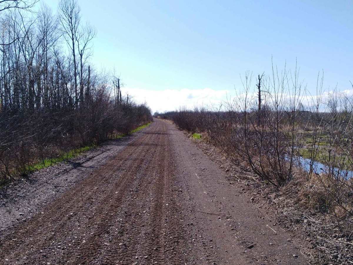 Kettle River to Lawler Loop Trails photo 6