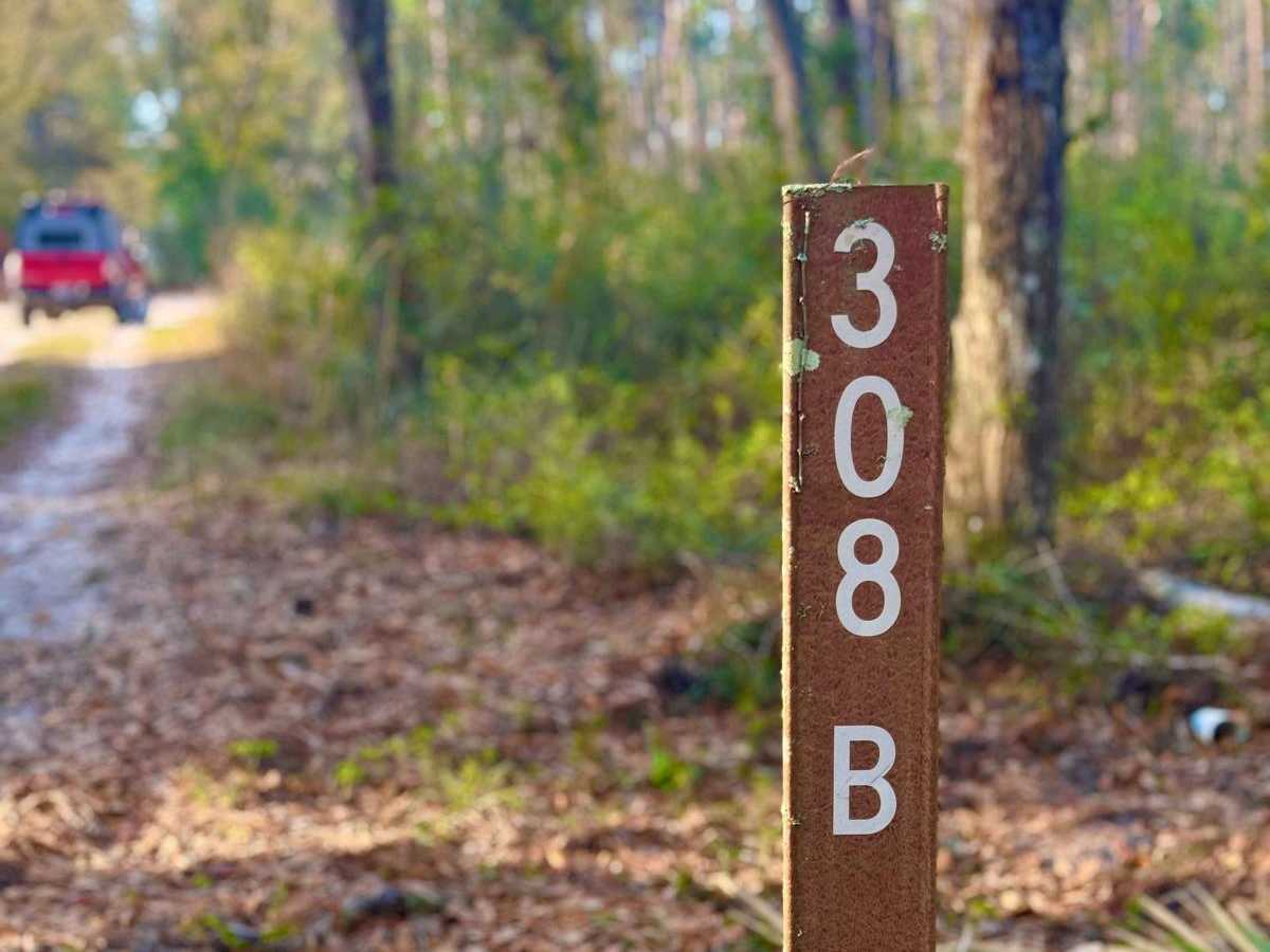 FS 308-B trail photo