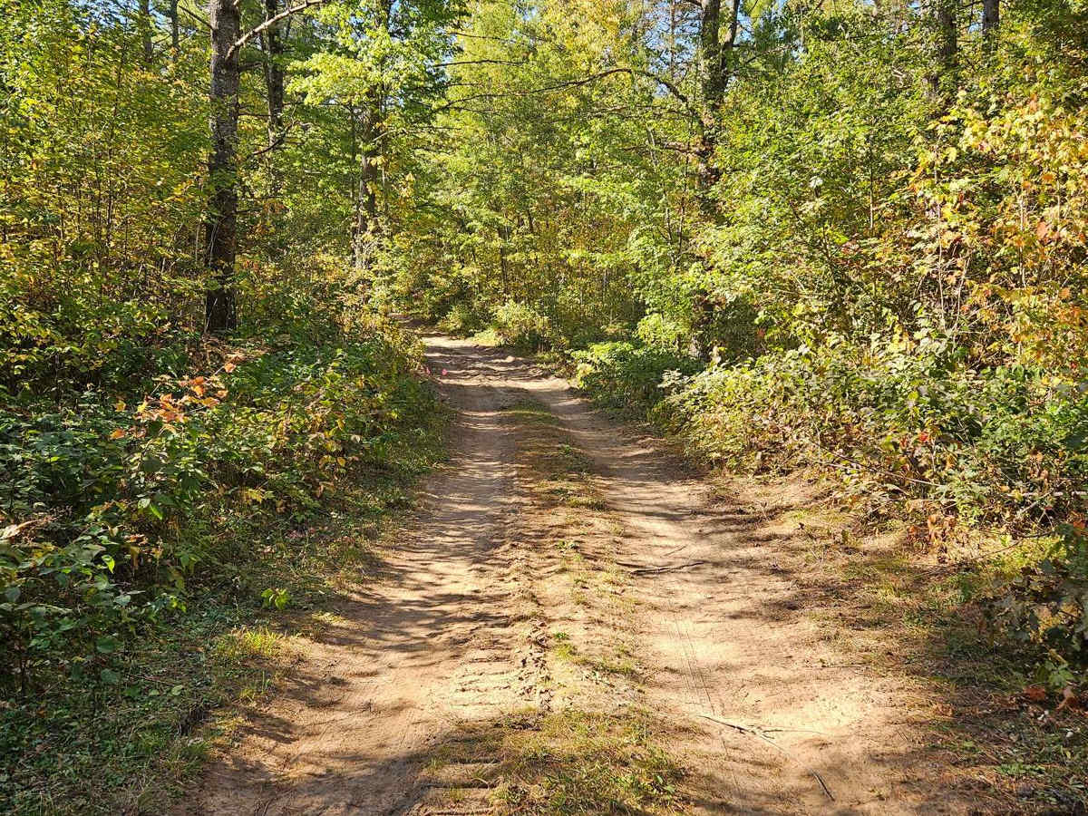 Sandy Summit Trail trail photo