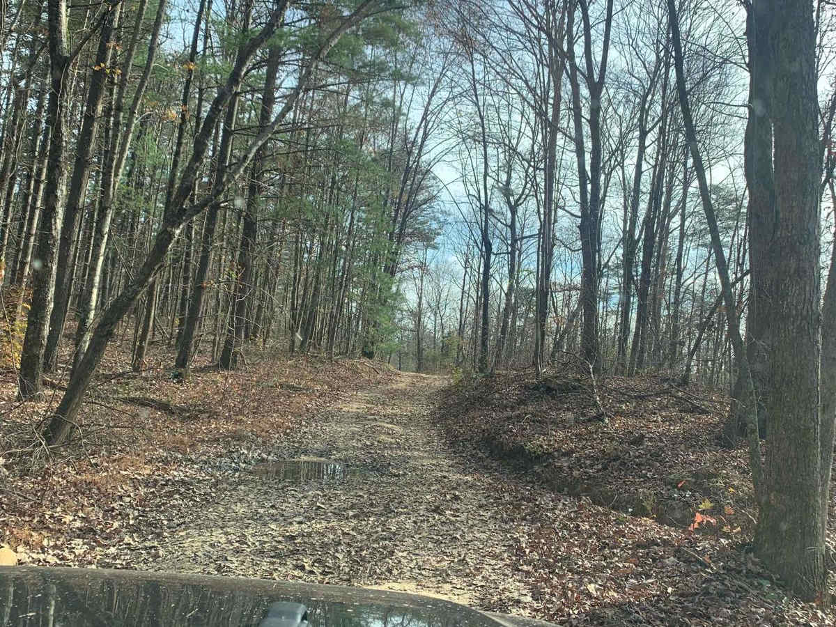 Dry Branch Road trail photo