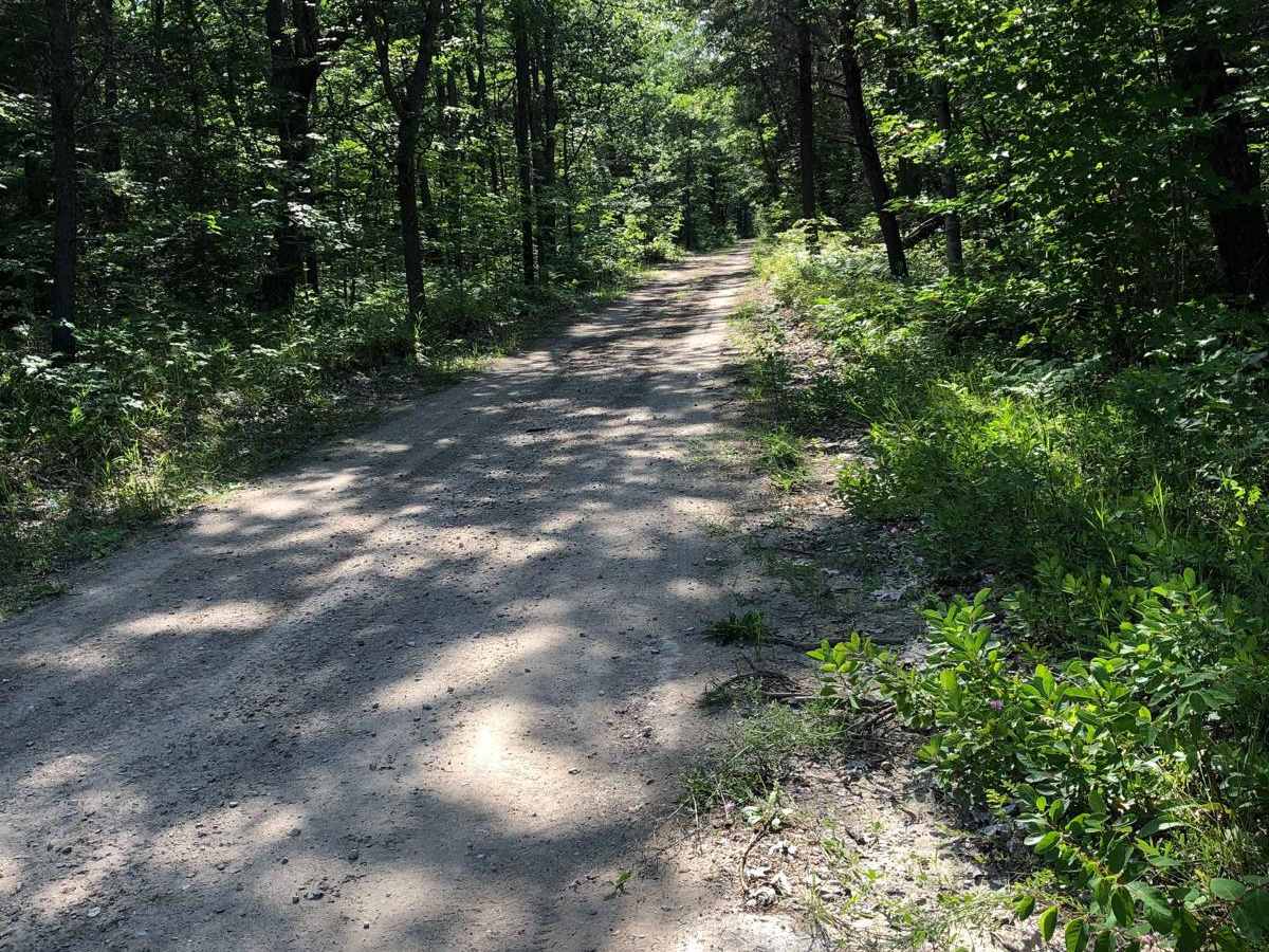 646 trail photo