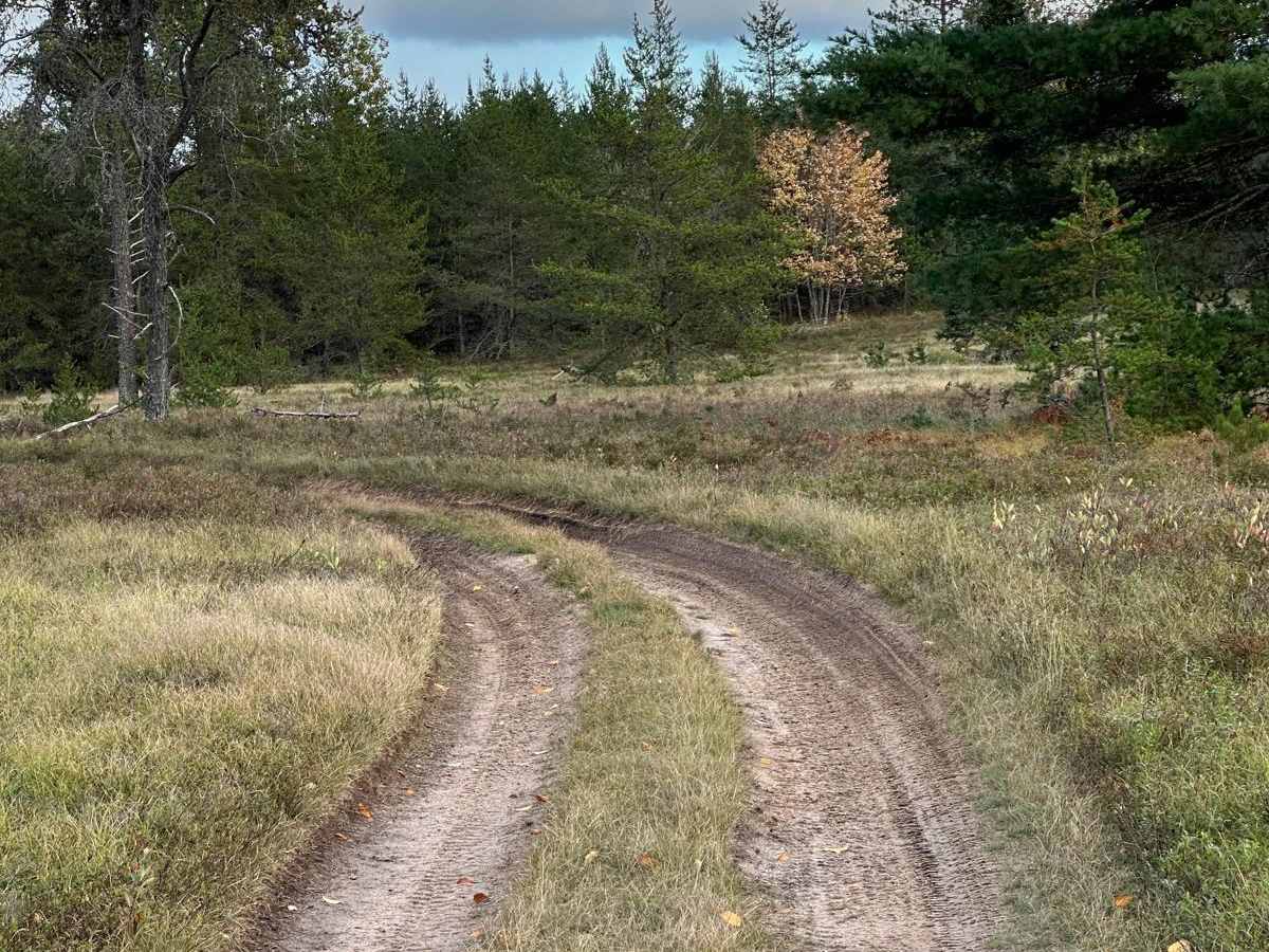 Mowe Lake Part 2 - FS 2692 photo 6