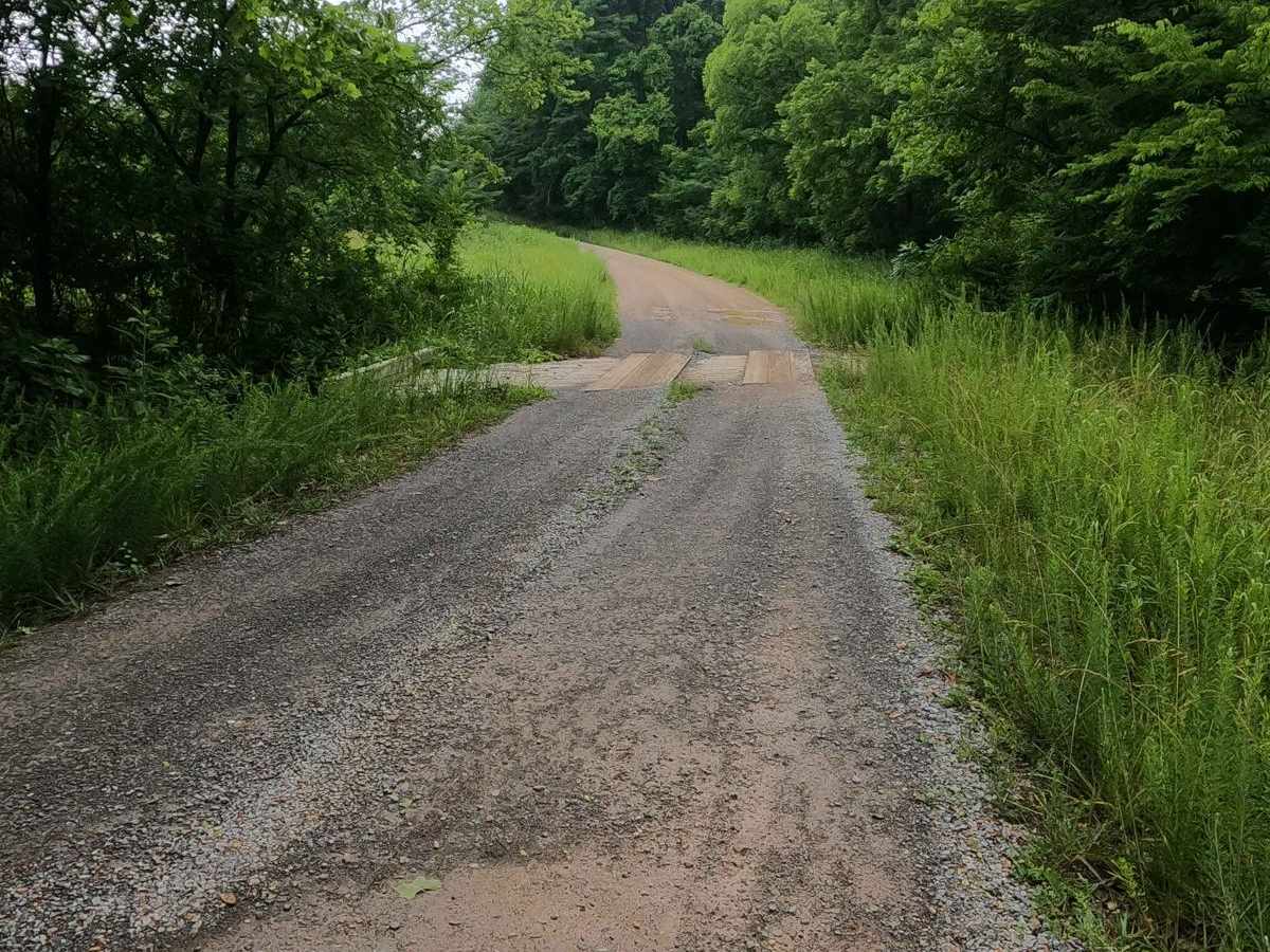 Tharpe Road FSR 221 photo 4