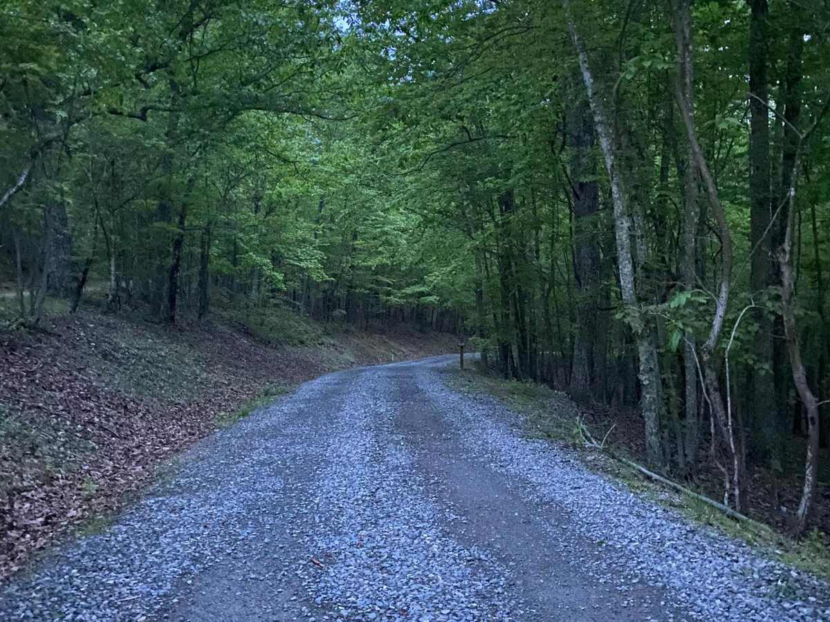 Edinburg Gap photo 5
