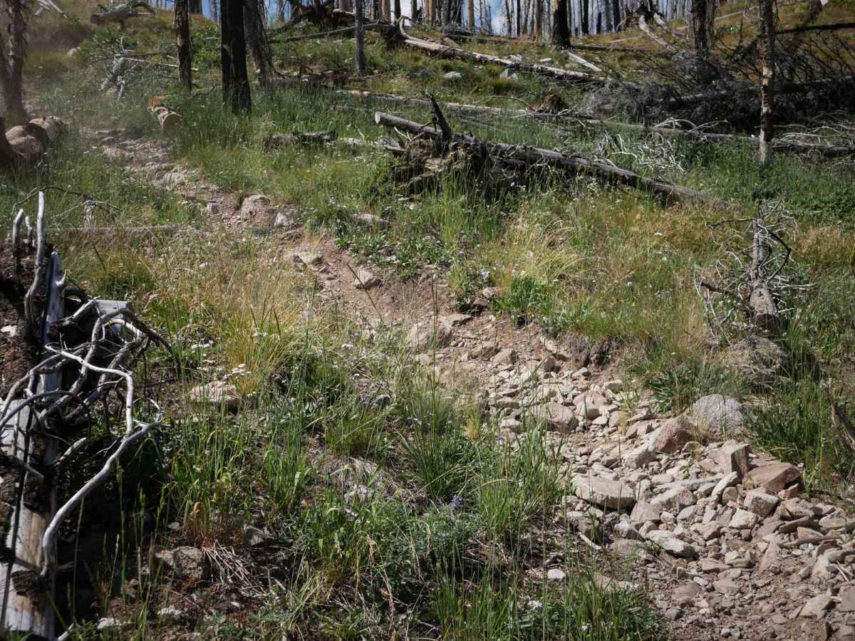 Hay Knapp Creek (South) photo 2