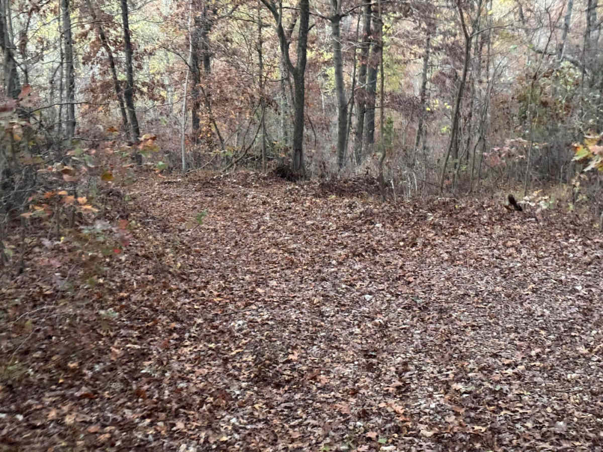 Green 162 photo 2